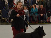 GR01 BestVeteranenhund Alpen-Veteranensieger Lennox von der Notburgahöhle